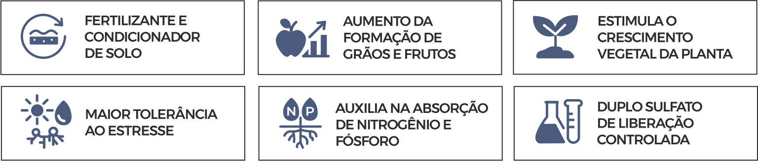 szmaxi-beneficios
