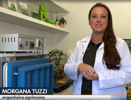 SulGesso na NSC TV e a germinação do Butia catarinensis